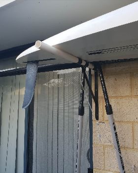 Windsurf cat