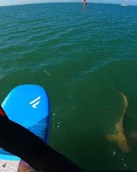 Starboard!