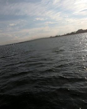 WindFoiling with Friends