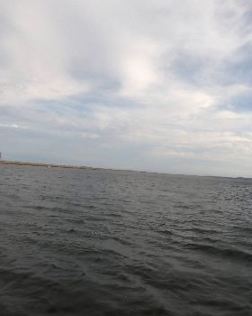WindFoiling with Friends