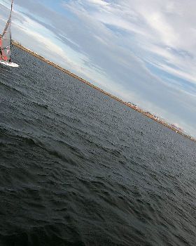 WindFoiling with Friends