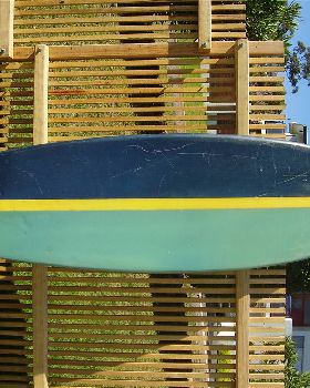 micheal peterson board