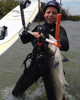 Salmon