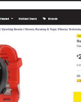 garmin