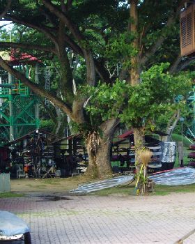 Singapore windsurfing facilities