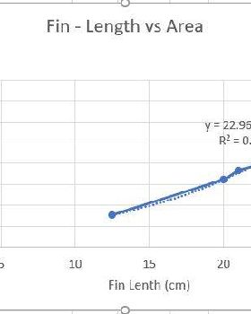 Fin Graph