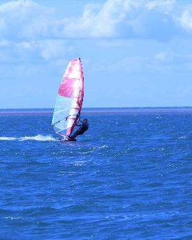 Windfest 2021