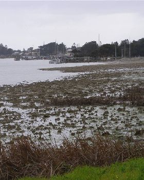 Goolwa in big trouble!!!