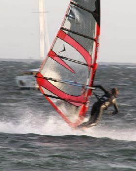 Free Style