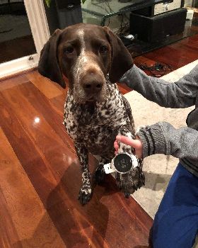GSP watch