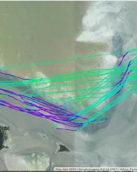39463-TrackmapBig030218LG