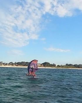 PinkWing
