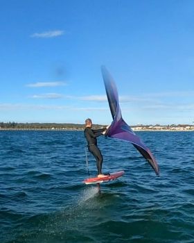 PinkWing2