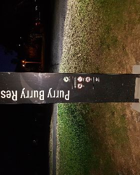 COVID 2021