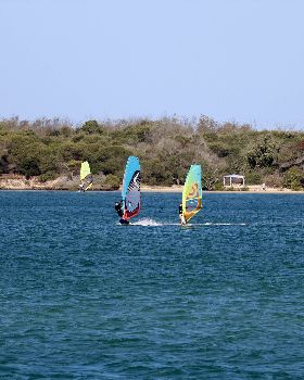 Windsurfing