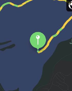 Submerged log location