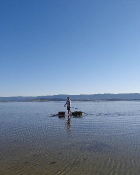 Tex  Lake cleanup 005
