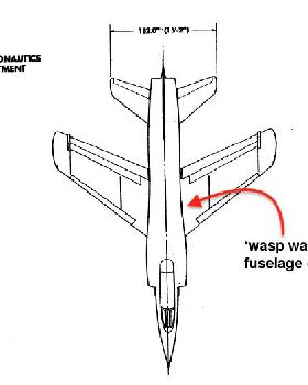 Wasp Waisted