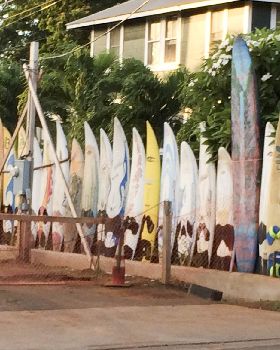 Paia board fence
