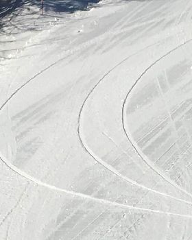 Proteus 180 tracks