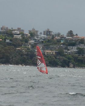 P1090134 (2)