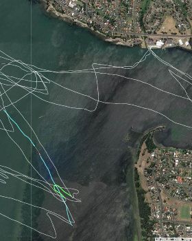 NSW Race board series