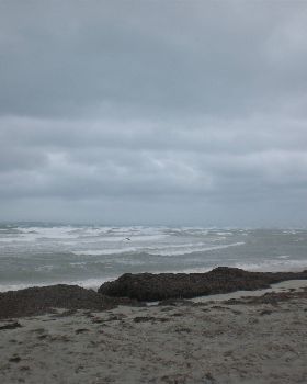 50 Knot gale hits Woodman Point