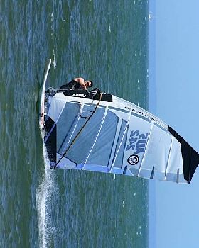 Bayside Open Day