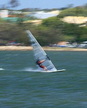 Bayside Open Day