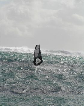 windy miller