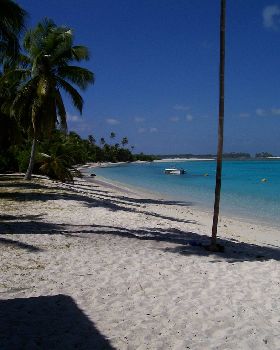 Cocos time