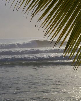 Cocos time