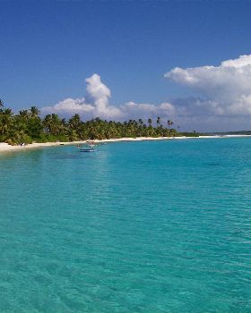 Cocos time