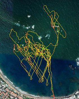 Wing tracks Cabarete
