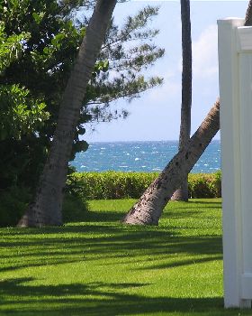 maui 2004