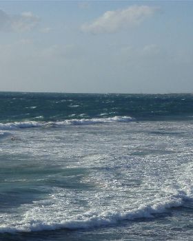 Late arvo Metts sesh