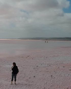 High Salinity in Pink