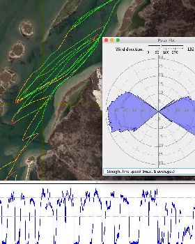 Polar plot WS38