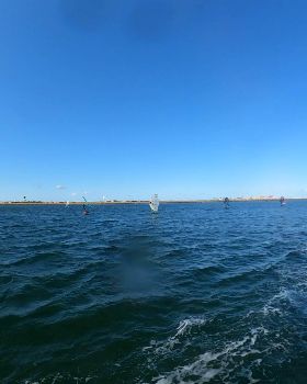 Early Spring day at the end of Winter 2022 with a lot of sails and wings out