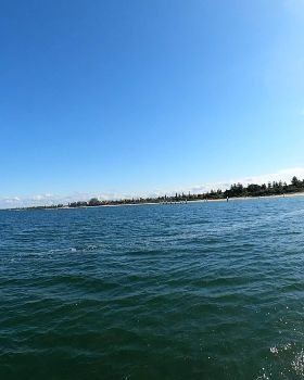 Early Spring day at the end of Winter 2022 with a lot of sails and wings out