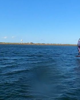 Early Spring day at the end of Winter 2022 with a lot of sails and wings out