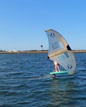 Early Spring day at the end of Winter 2022 with a lot of sails and wings out