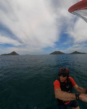 Nelson Foiling No Dolphin
