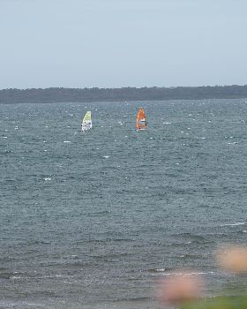 Raceboard State Championships