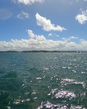 WindFoil Races