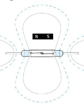 Magnetorientation