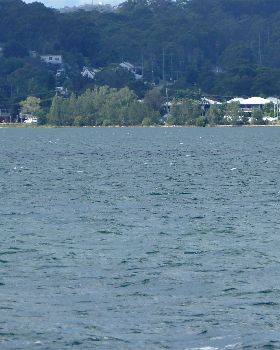 WSNSW State WindFoil Round 5