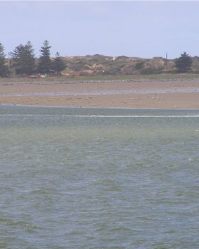Me at Goolwa on the 8th of November, 2008