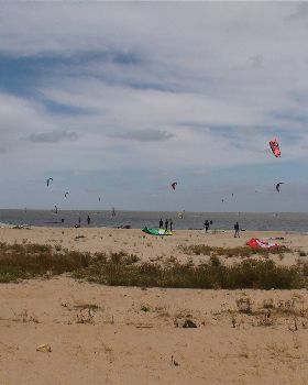 Milang Demo day - 