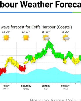 Woopi Forecast